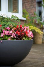 Load image into Gallery viewer, Large Bowl Planters