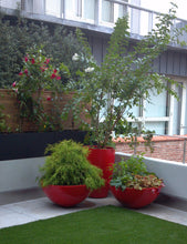 Load image into Gallery viewer, Large Bowl Planters