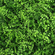 Load image into Gallery viewer, Deluxe fern artificial living wall