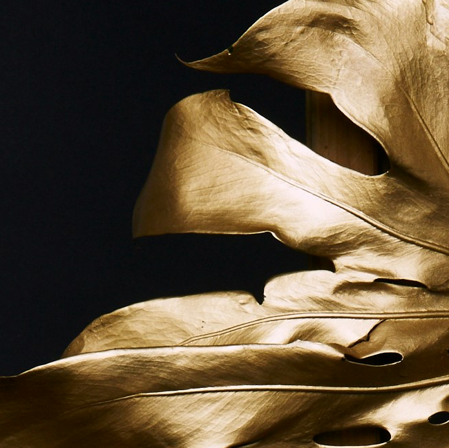 Using dark tones and deep metallics to convey luxury in hospitality de