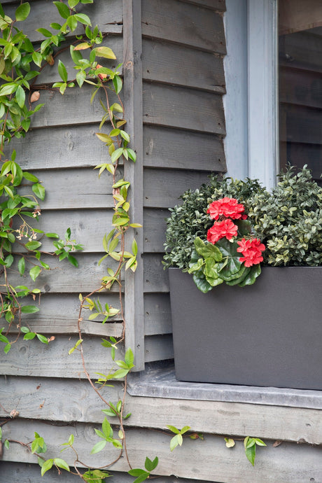 Window Boxes: A Brief History and Why GRP Is the Modern Upgrade