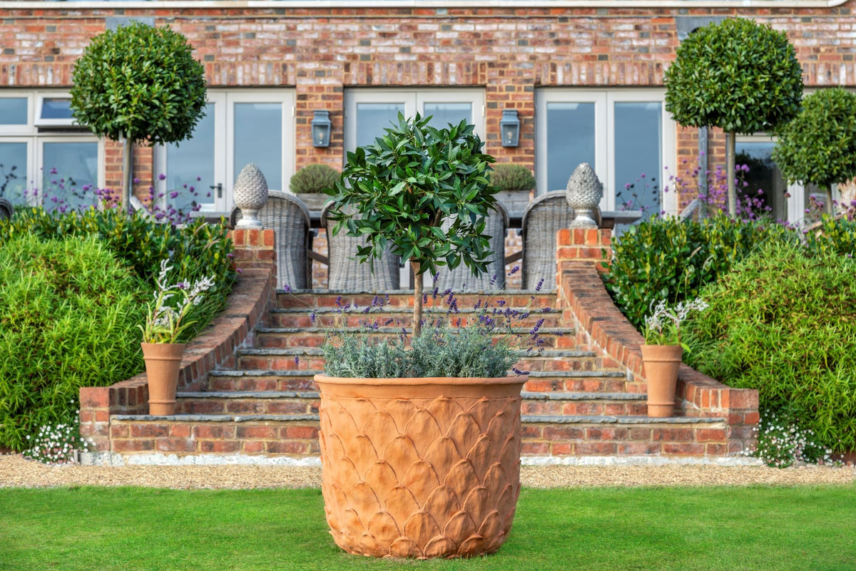 UK-Made GRP Planters: Strength, Craftsmanship, and Durability – Verti Green