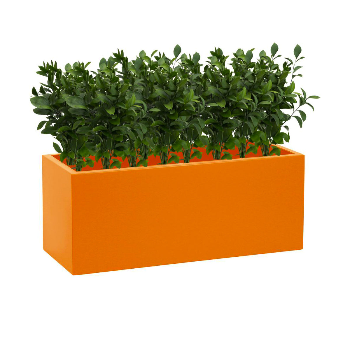 Colourful Low Trough Planters 1m Length - 9 Colours – Verti Green