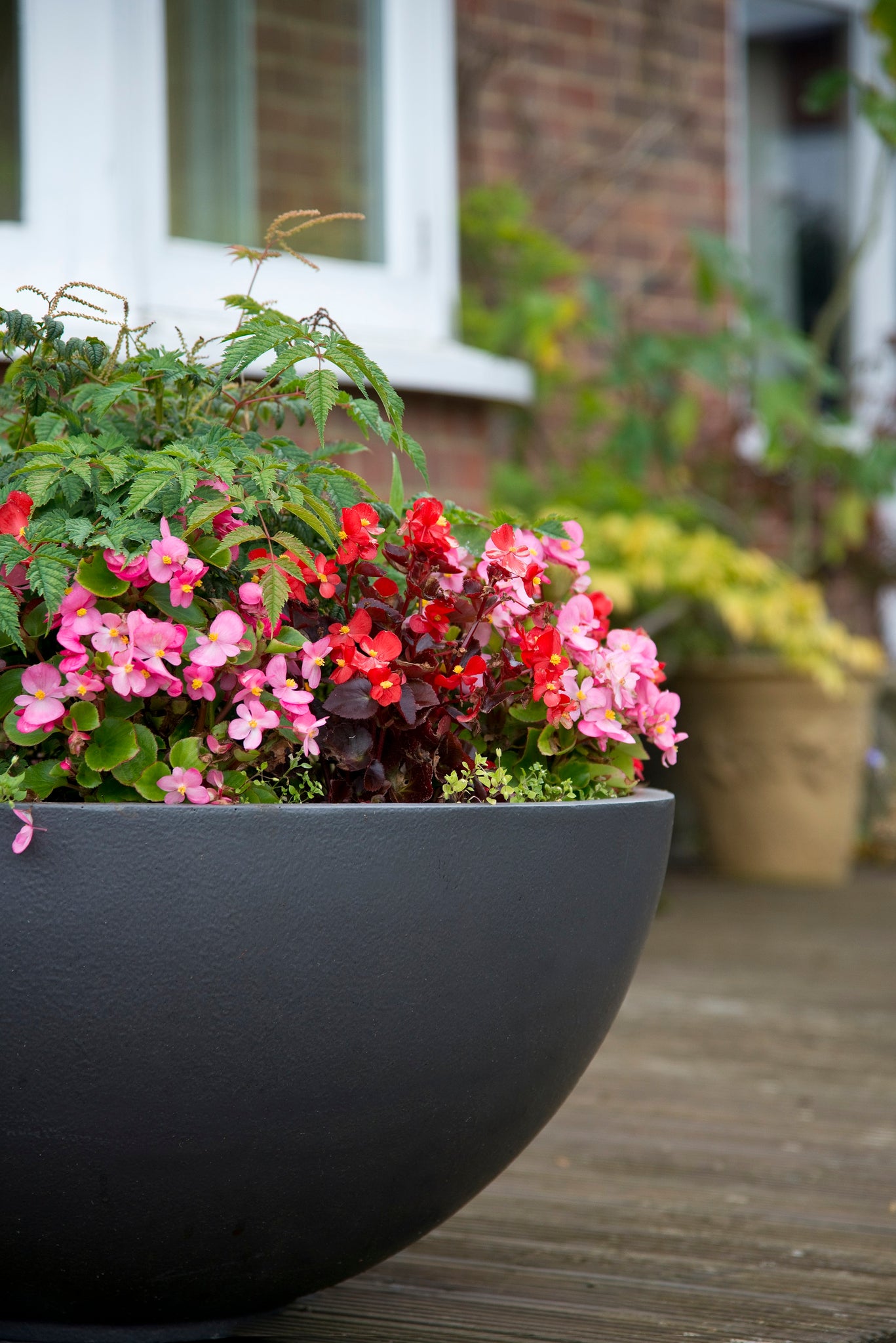 large bowl planter pots Large Bowl Planters – Verti Green