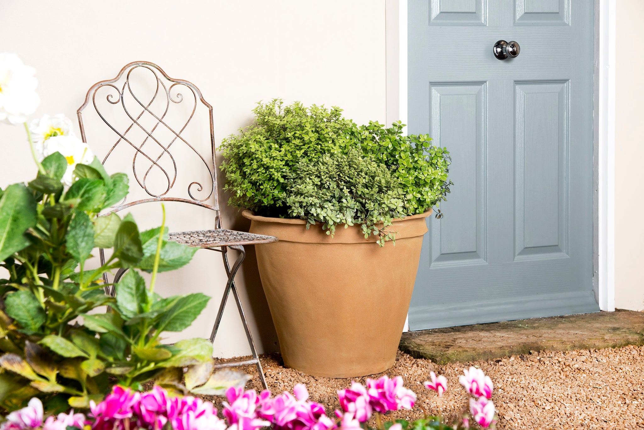 plain plant pots Plain Round Terracotta Look Planter – Verti Green